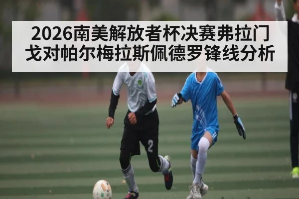 2026南美解放者杯决赛弗拉门戈对帕尔梅拉斯佩德罗锋线分析