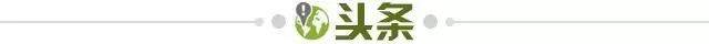 kaiyun正规平台-【早报】仍然领跑，枪手大胜白玫瑰止颓！